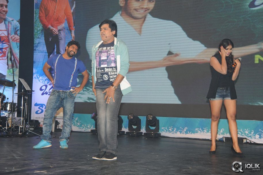 Oka-Laila-Kosam-Movie-Audio-Success-Function